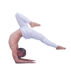 dao-tao-hlv-yoga-500h