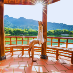 dao-tao-hlv-yoga-500h